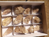 Natural Cascading White Phantom Smokey Quartz Crystals x 12 From Luena, Congo