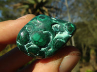 Polished  Small Flower Malachite Free Forms  x 20 From Congo