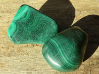 Polished  Small Flower Malachite Free Forms  x 20 From Congo