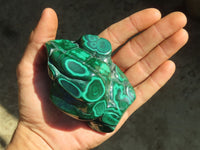 Polished Malachite Free Forms x 2 From Kolwezi, Congo