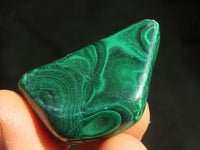 Polished  Small Flower Malachite Free Forms  x 20 From Congo