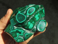 Polished Malachite Free Forms x 2 From Kolwezi, Congo