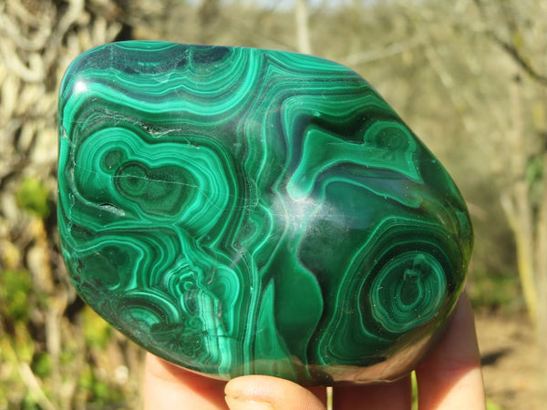 Polished Malachite Free Forms x 2 From Kolwezi, Congo