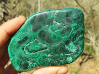 Polished Malachite Free Forms x 2 From Kolwezi, Congo