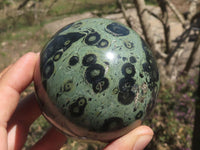 Polished Stromatolite / Kambamba Jasper Spheres  x 2 From Katsepy, Madagascar - TopRock