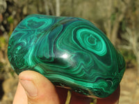 Polished Malachite Free Forms x 2 From Kolwezi, Congo