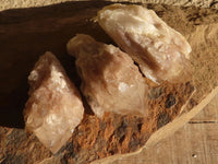 Natural Cascading White Phantom Smokey Quartz Crystals x 12 From Luena, Congo