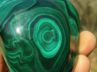 Polished Malachite Free Forms x 2 From Kolwezi, Congo