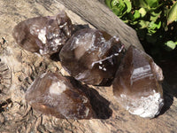 Natural Large Smokey Quartz Crystals  x 4 From Zomba, Malawi - Toprock Gemstones and Minerals 