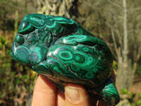 Polished Malachite Free Forms x 2 From Kolwezi, Congo