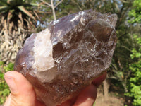 Natural Large Smokey Quartz Crystals  x 4 From Zomba, Malawi - Toprock Gemstones and Minerals 