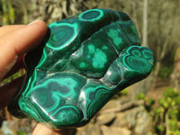 Polished Malachite Free Forms x 2 From Kolwezi, Congo