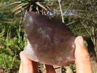 Natural Large Smokey Quartz Crystals  x 4 From Zomba, Malawi - Toprock Gemstones and Minerals 