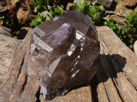 Natural Large Smokey Quartz Crystals  x 4 From Zomba, Malawi - Toprock Gemstones and Minerals 