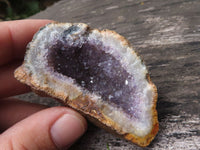 Natural Amethyst In Basalt Geode Specimens  x 12 From Zululand, South Africa - TopRock