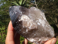 Natural Large Smokey Quartz Crystals  x 4 From Zomba, Malawi - Toprock Gemstones and Minerals 