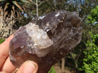 Natural Large Smokey Quartz Crystals  x 4 From Zomba, Malawi - Toprock Gemstones and Minerals 