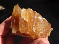 Natural Honey Aragonite Etched & Cobbed Pieces  x 12 From Namibia