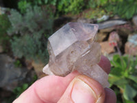 Natural Smokey Amethyst Crystals  x 26 From Ambatondrazaka, Madagascar - TopRock