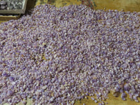 Natural Mini & Small Amethyst Mine Run Crystals - sold per Kg - From Madagascar - TopRock