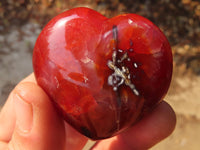 Polished Carnelian Agate Hearts  x 12 From Madagascar