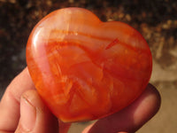 Polished Carnelian Agate Hearts  x 12 From Madagascar