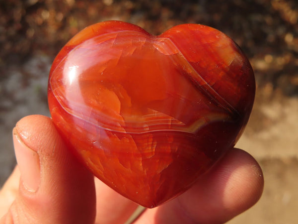 Polished Carnelian Agate Hearts  x 12 From Madagascar