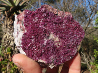 Natural Pink Salrose Cobaltion Dolomite Specimens x 6 From Kakanda, Congo