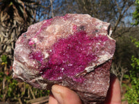 Natural Pink Salrose Cobaltion Dolomite Specimens x 6 From Kakanda, Congo