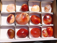 Polished Carnelian Agate Palm Stones  x 13 From Madagascar - Toprock Gemstones and Minerals 