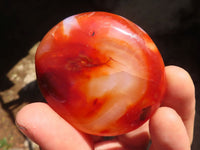 Polished Carnelian Agate Palm Stones  x 13 From Madagascar - Toprock Gemstones and Minerals 