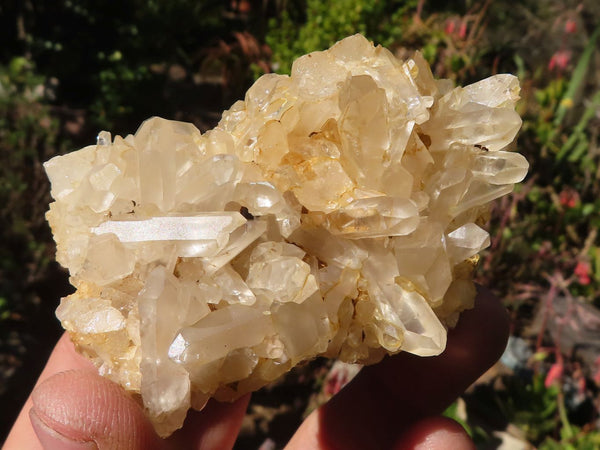 Natural Small Clear Quartz Clusters  x 24 From Madagascar