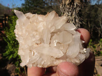 Natural Small Clear Quartz Clusters  x 24 From Madagascar