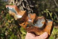 Polished Unique Ocean Jasper Flame  x 1 From Madagascar - TopRock