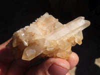 Natural Small Clear Quartz Clusters  x 24 From Madagascar