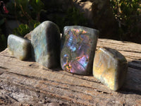 Polished Labradorite Standing Free Forms  x 4 From Tulear, Madagascar