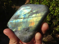 Polished Labradorite Standing Free Forms  x 4 From Tulear, Madagascar