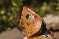 Polished Unique Ocean Jasper Flame  x 1 From Madagascar - TopRock