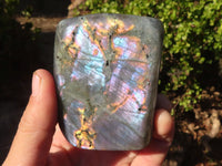 Polished Labradorite Standing Free Forms  x 4 From Tulear, Madagascar