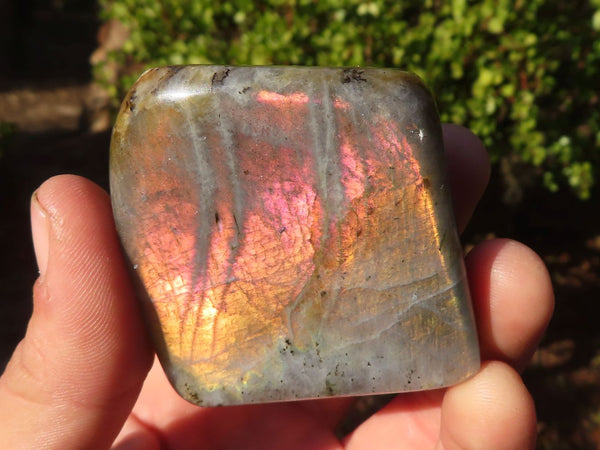 Polished Labradorite Standing Free Forms  x 4 From Tulear, Madagascar