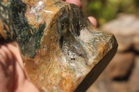 Polished Unique Ocean Jasper Flame  x 1 From Madagascar - TopRock