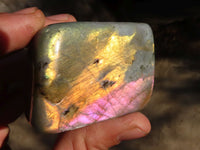 Polished Labradorite Standing Free Forms  x 4 From Tulear, Madagascar