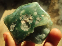 Polished One Side Polished Emerald Mtorolite Plates  x 12 From Mutorashanga, Zimbabwe