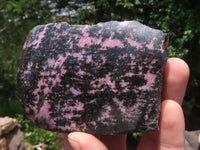 Polished One Side Polished Rhodonite Free Forms  x 4 From Madagascar - TopRock