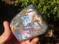 Polished Labradorite Standing Free Forms  x 4 From Tulear, Madagascar