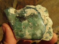 Polished One Side Polished Emerald Mtorolite Plates  x 12 From Mutorashanga, Zimbabwe