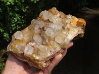 Natural Large Golden Limonite / Lemonite Quartz Clusters x 2 From Zambia - Toprock Gemstones and Minerals 