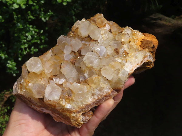 Natural Large Golden Limonite / Lemonite Quartz Clusters x 2 From Zambia - Toprock Gemstones and Minerals 