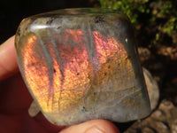 Polished Labradorite Standing Free Forms  x 4 From Tulear, Madagascar