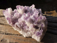 Natural Sugar Amethyst Cluster x 1 From Zambia